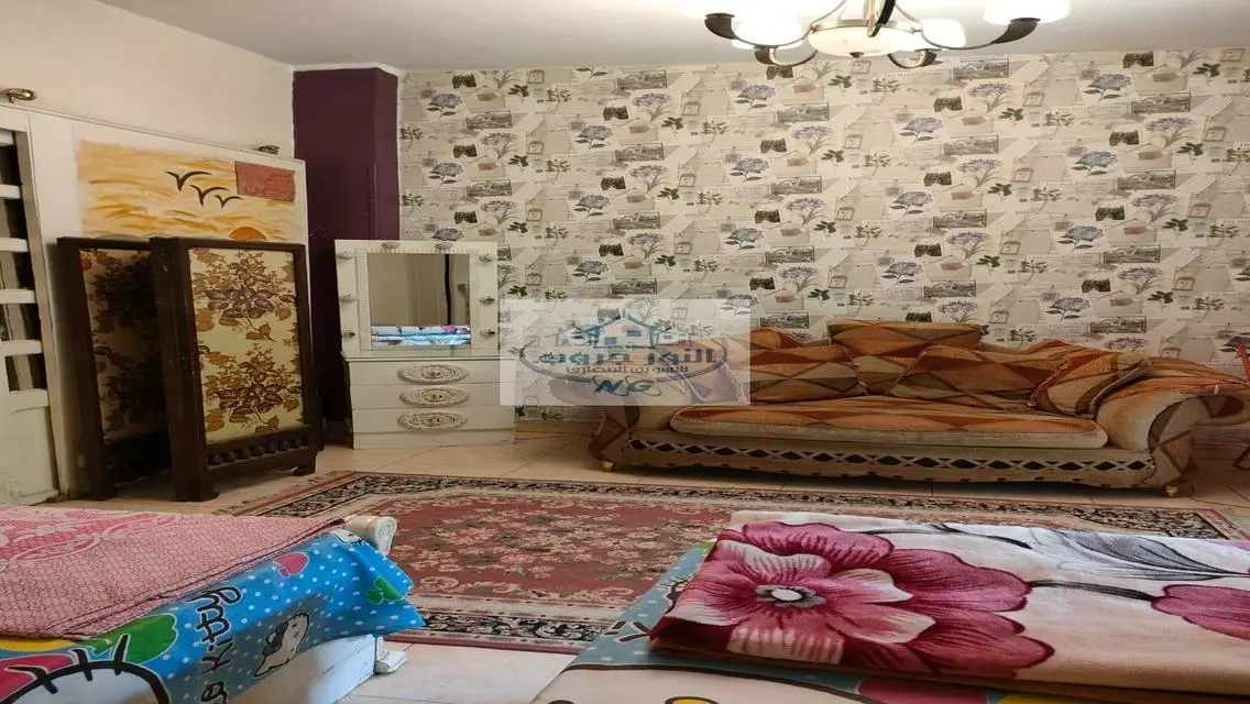 Fantastic Apartment for Rent - 1200 EGP