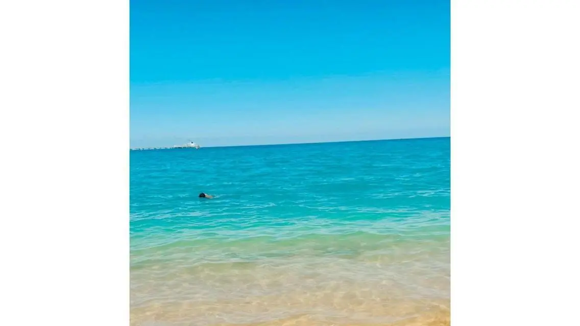 شاليه دور أول 3 غرف فيو بحر وحمام سباحة متشطب