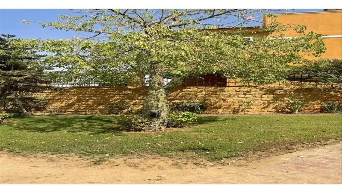Villa for sale527m Swan Lake Hassan Allam