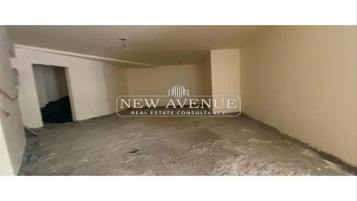 Luxury Apartment of 160 sqm in the Heart of the City