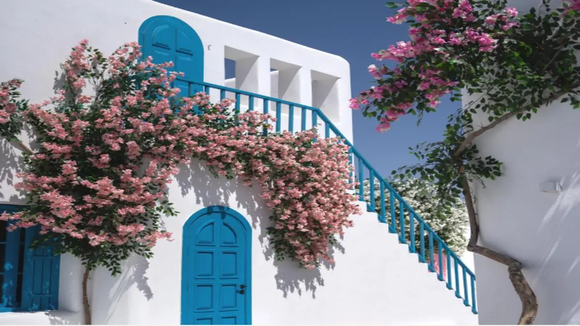 Luxury Apartment 540 Sq. M in the Heart of the City
