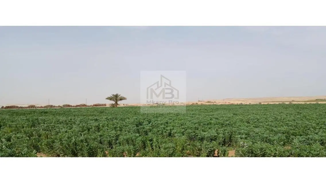 هتكون مساهم اساسى فى كل خطوة وهتبقى ضامن استثمارك