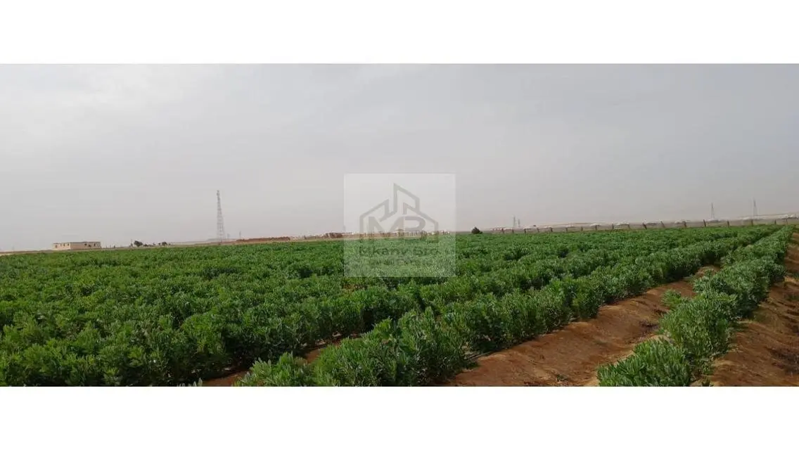 هتكون مساهم اساسى فى كل خطوة وهتبقى ضامن استثمارك
