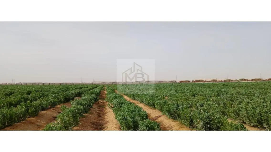 هتكون مساهم اساسى فى كل خطوة وهتبقى ضامن استثمارك