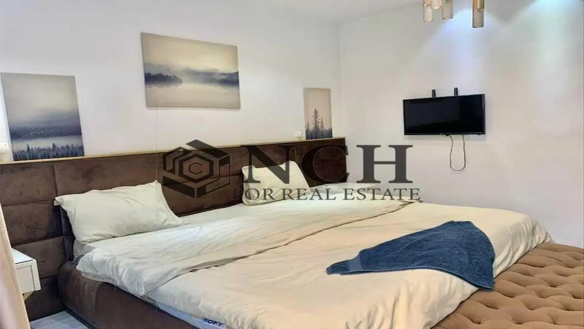 FULLY FURNISHED APARTMENT FOR RENT IN LAKE VIEW .