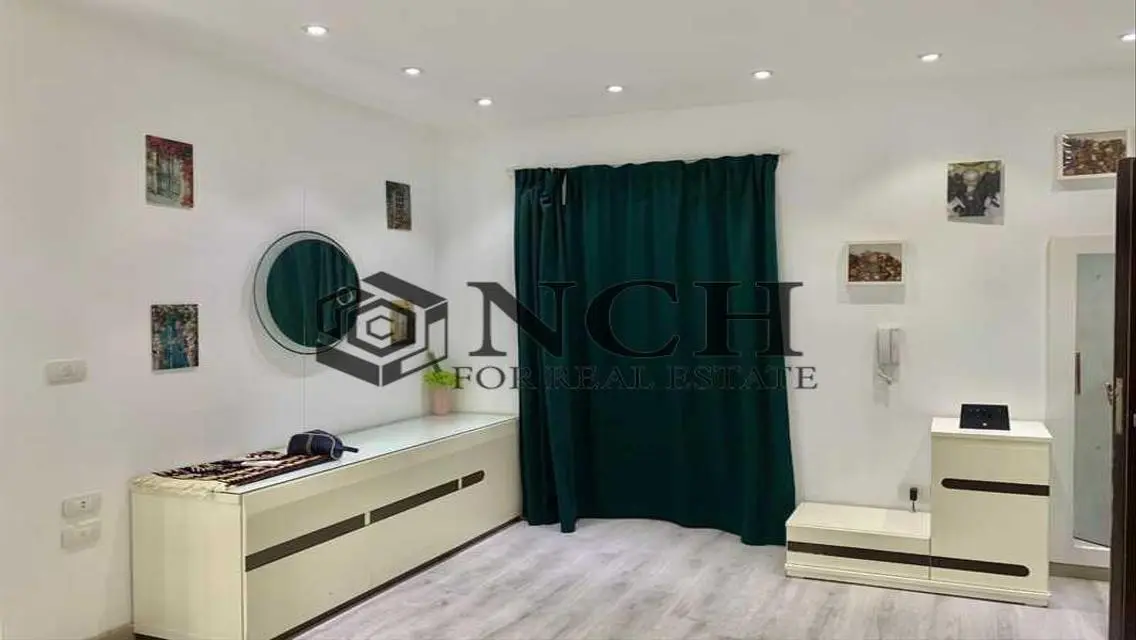 FULLY FURNISHED APARTMENT FOR RENT IN LAKE VIEW .