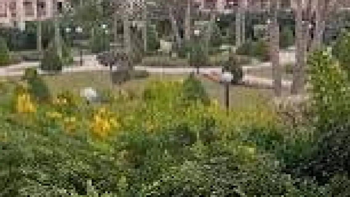 Studio For Rent In Al Rehab Phase 5 Ready To Move