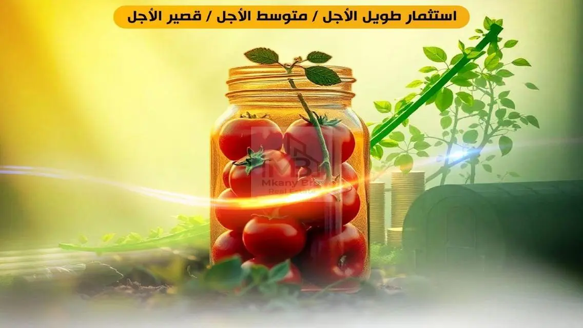 استفيد من الفرص الاستثمارية المصممة لتلبية أهدافك