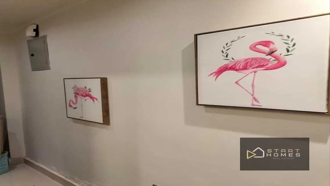 شقة جديدة رائعة في B11