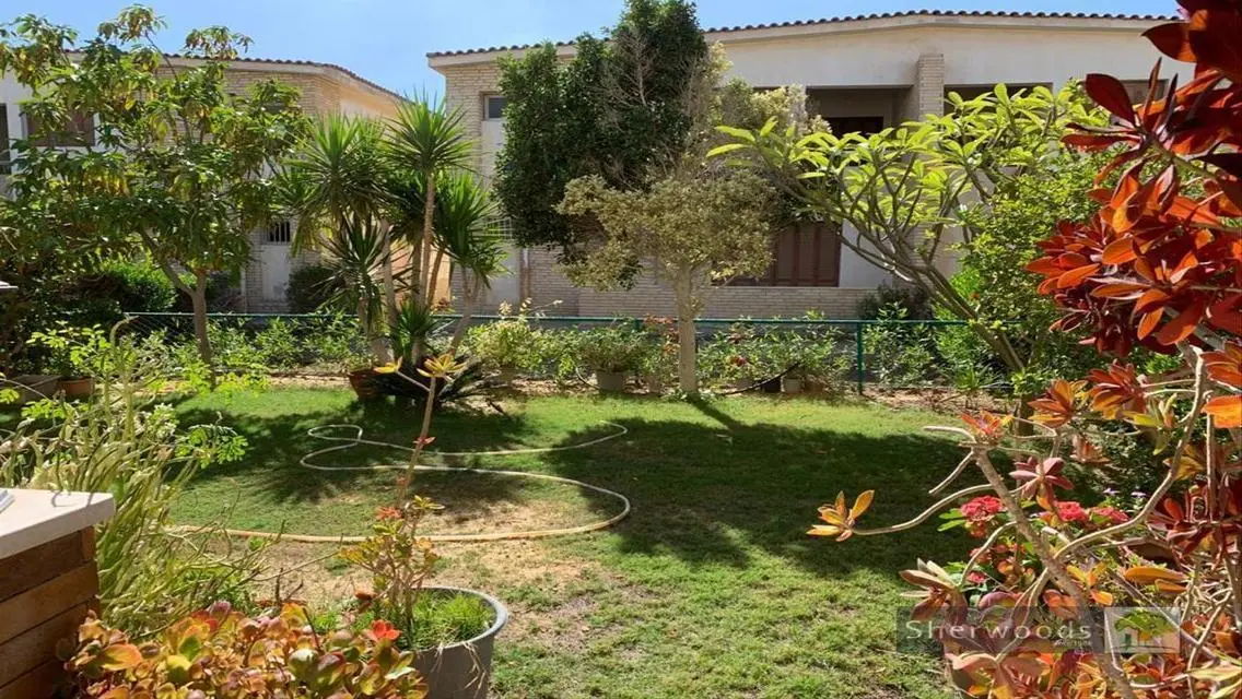 Unique Investment Opportunity with 800 sqm