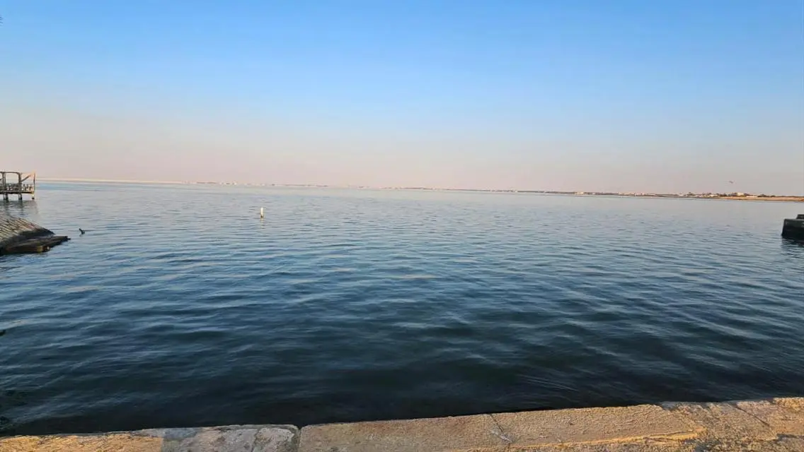 شقة مميزة للبيع بمساحة واسعة