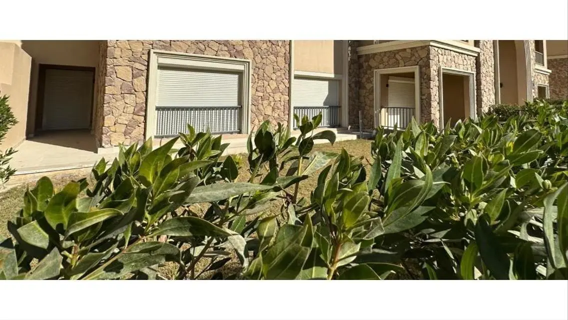 Luxury Apartment for Rent