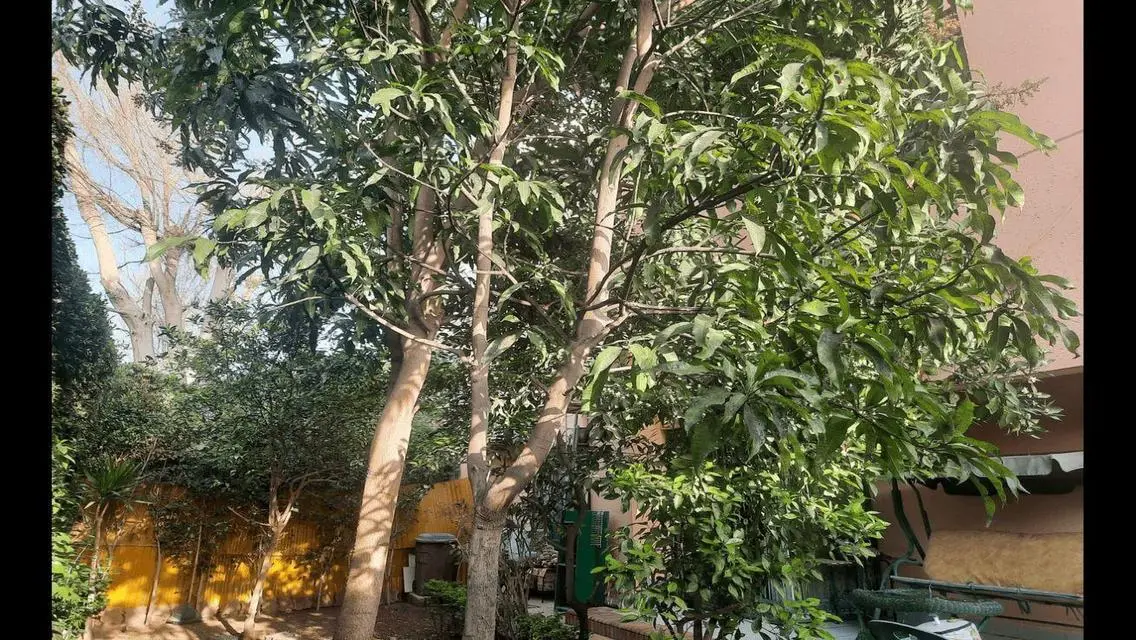 Luxury Villa for Sale in the Heart of the City