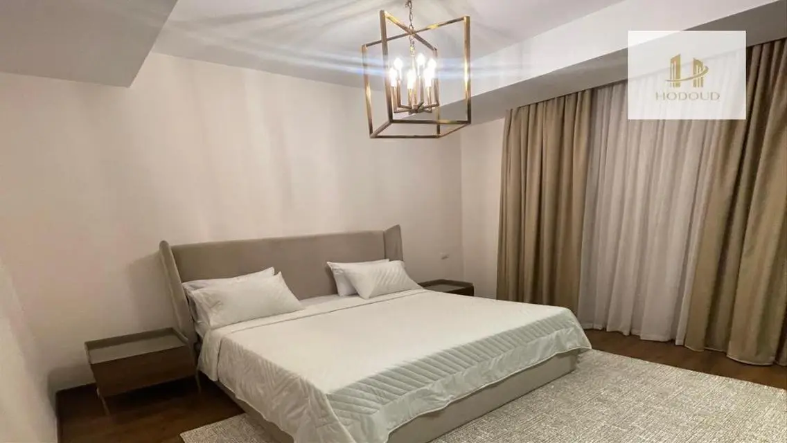 Furnished Apartment For rent in Festival Living