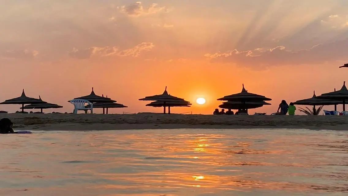 شالية ف بلومار غرفة بالروف 1.800.000كاش خلال رمضان
