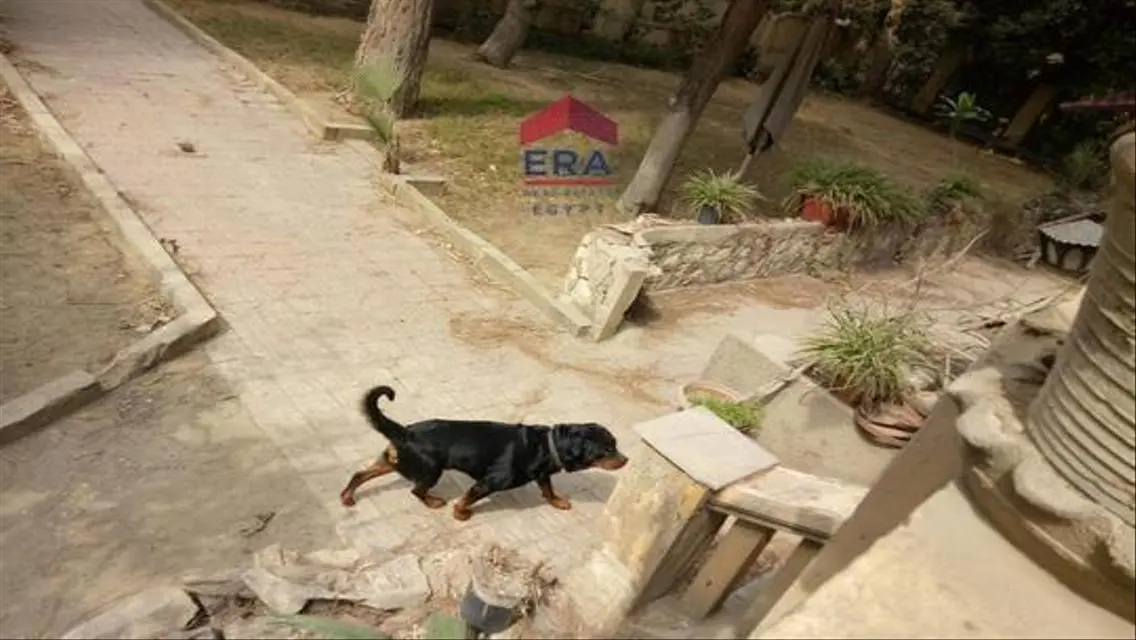 فيلا رائعة للبيع بمساحة فاخرة