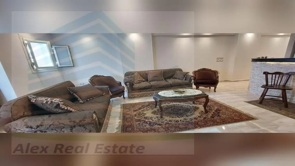 Luxury Apartment for Rent in the Heart of the City