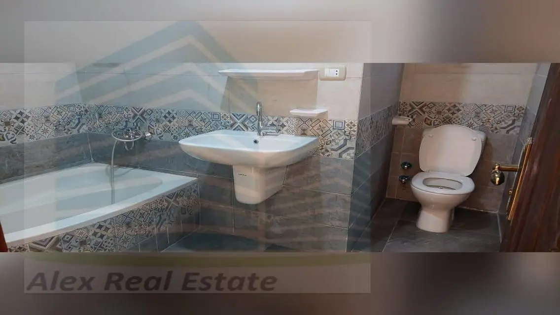 Luxury Apartment for Rent in the Heart of the City
