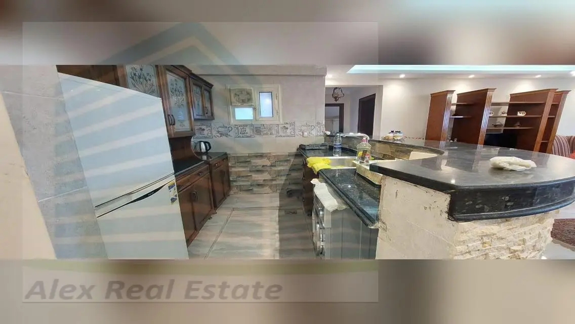 Luxury Apartment for Rent in the Heart of the City