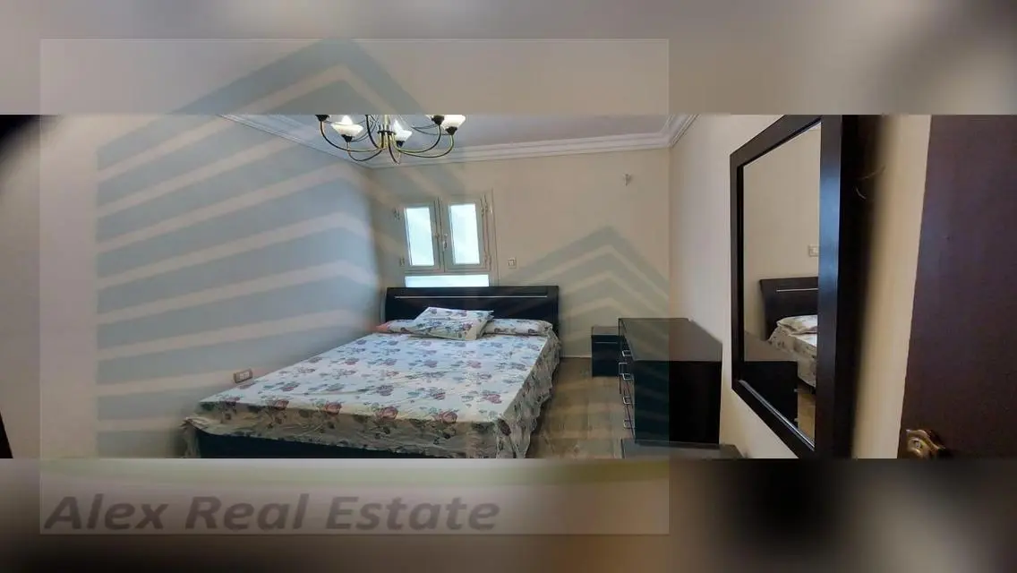 Luxury Apartment for Rent in the Heart of the City