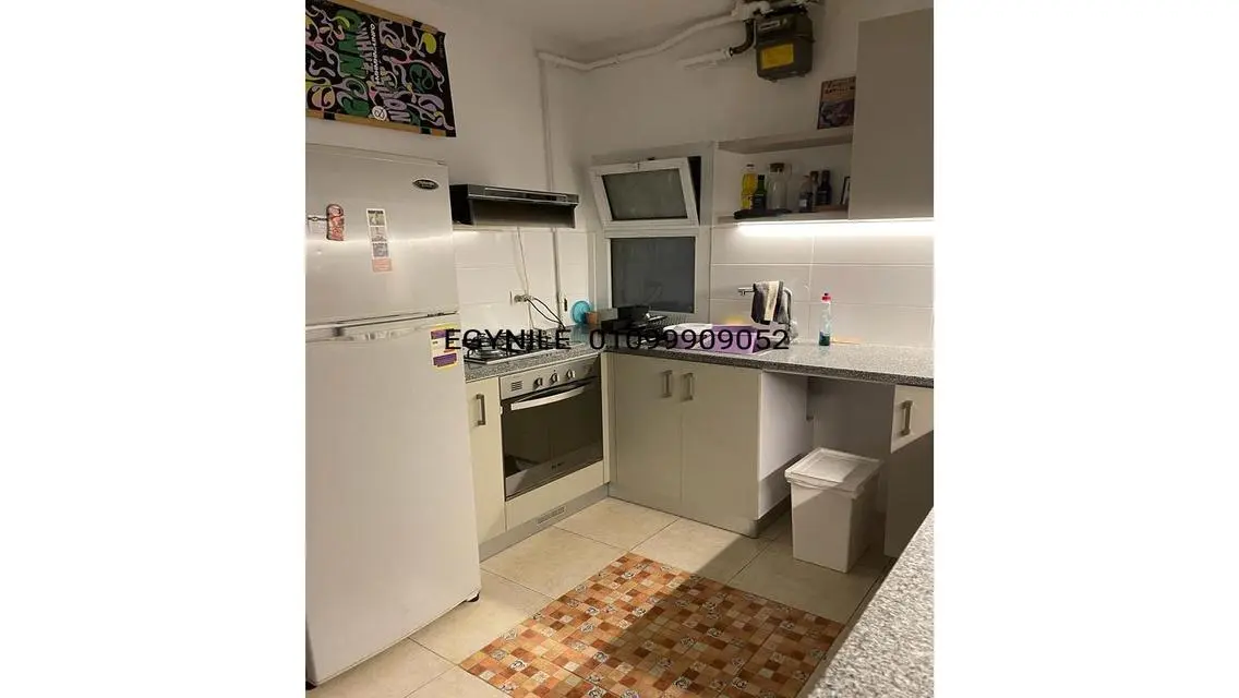 Green Modern Flat for Rent in Zamalek