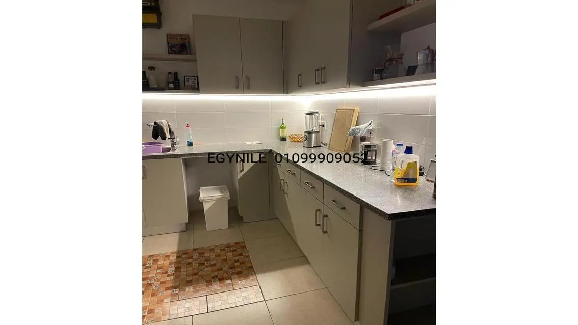 Green Modern Flat for Rent in Zamalek