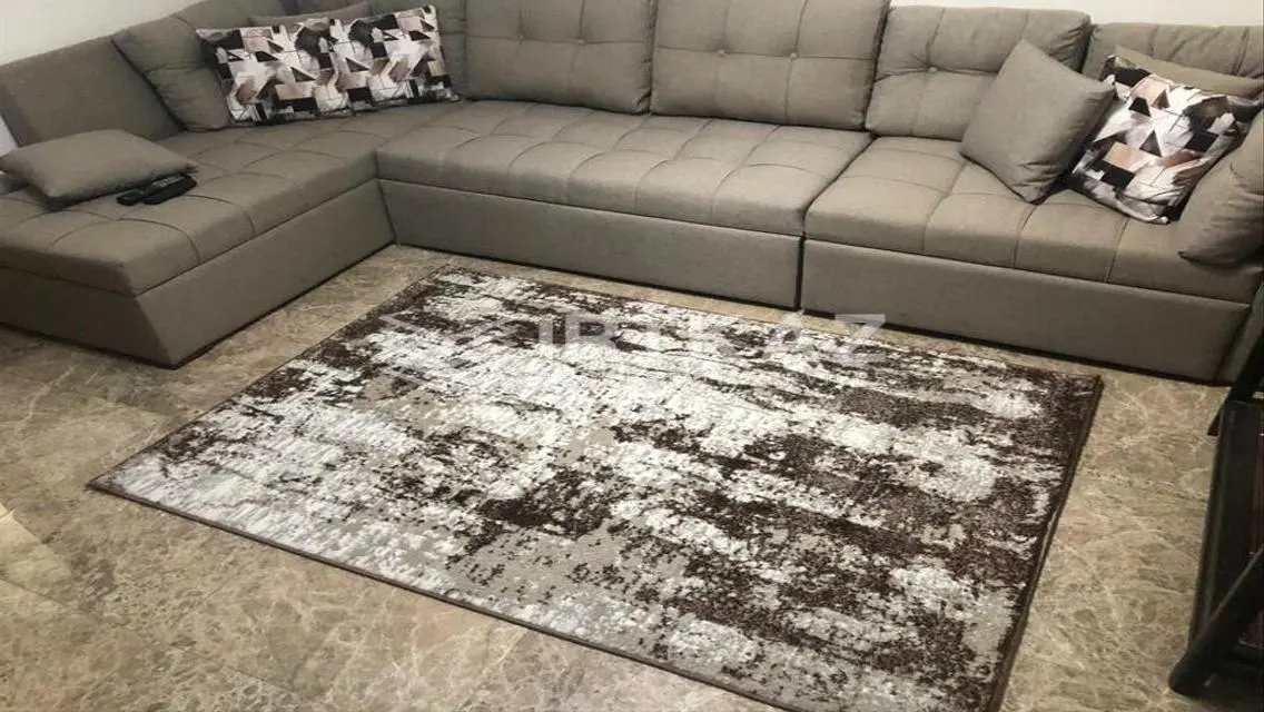 Luxury Apartment for Rent in AUC