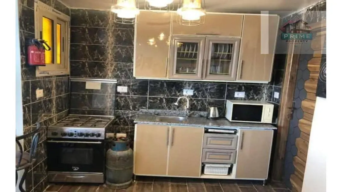 Amazing Apartment with 8000 Square Meters