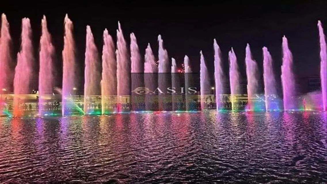 Apartment for Rent in Oasis