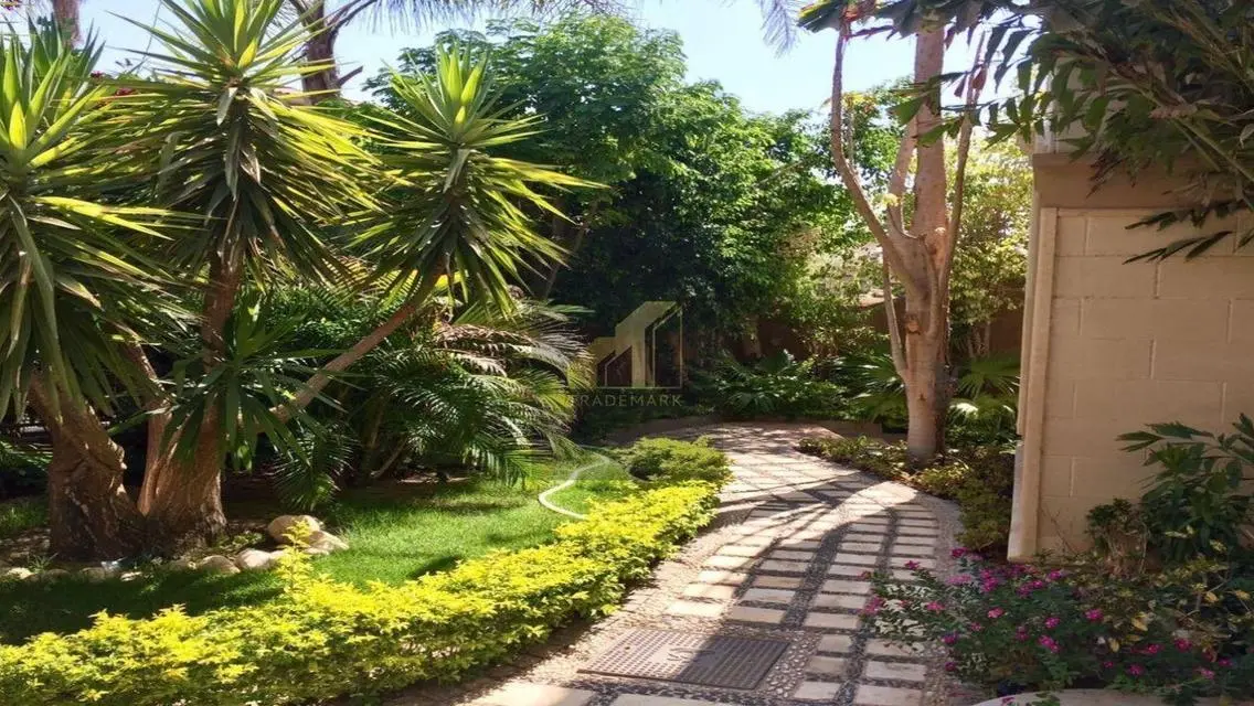 Luxurious Apartment with Spacious Living and Amenities