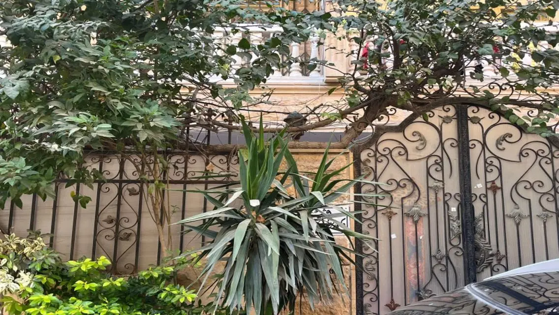Luxury Apartment Near the Sea for Sale