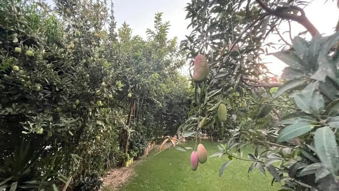 شقة مميزة للبيع في موقع استراتيجي