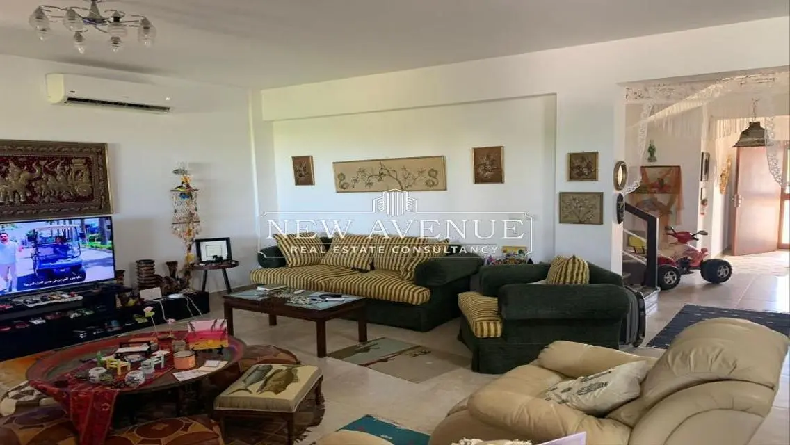 Luxurious Apartment with Spacious Balcony and Security Guard