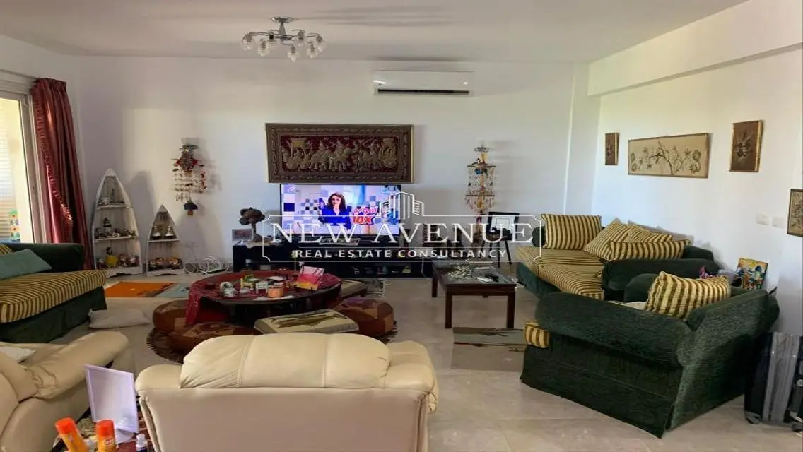 Luxurious Apartment with Spacious Balcony and Security Guard