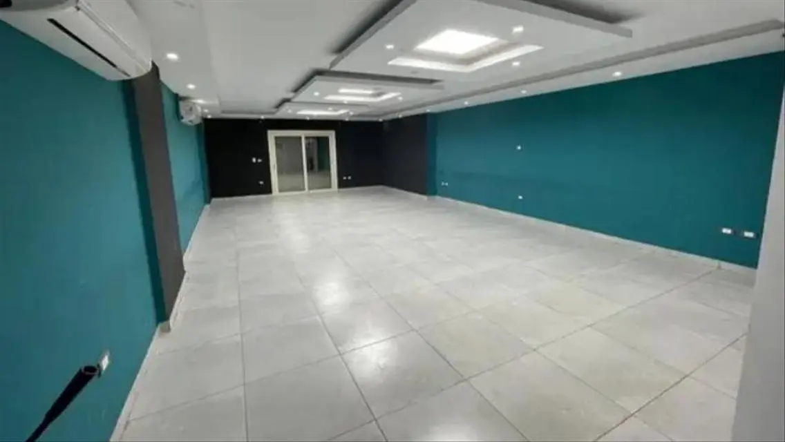 Luxurious 250 sqm Apartment with 4 Bedrooms and 3 Bathrooms for 42000