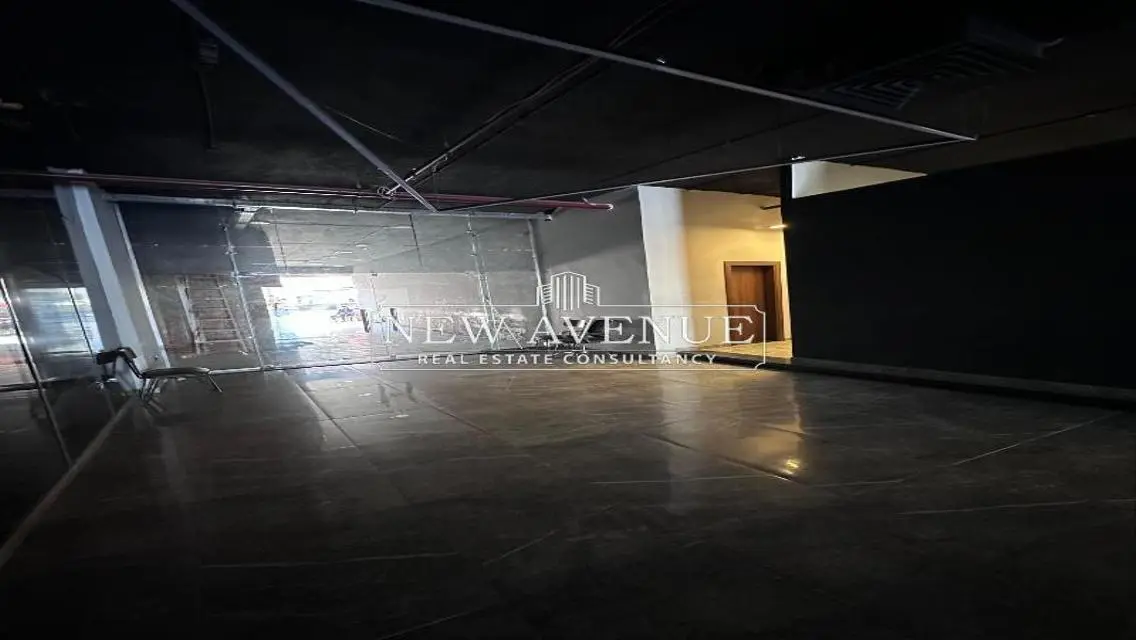 Spacious Apartment of 250 Sq. M