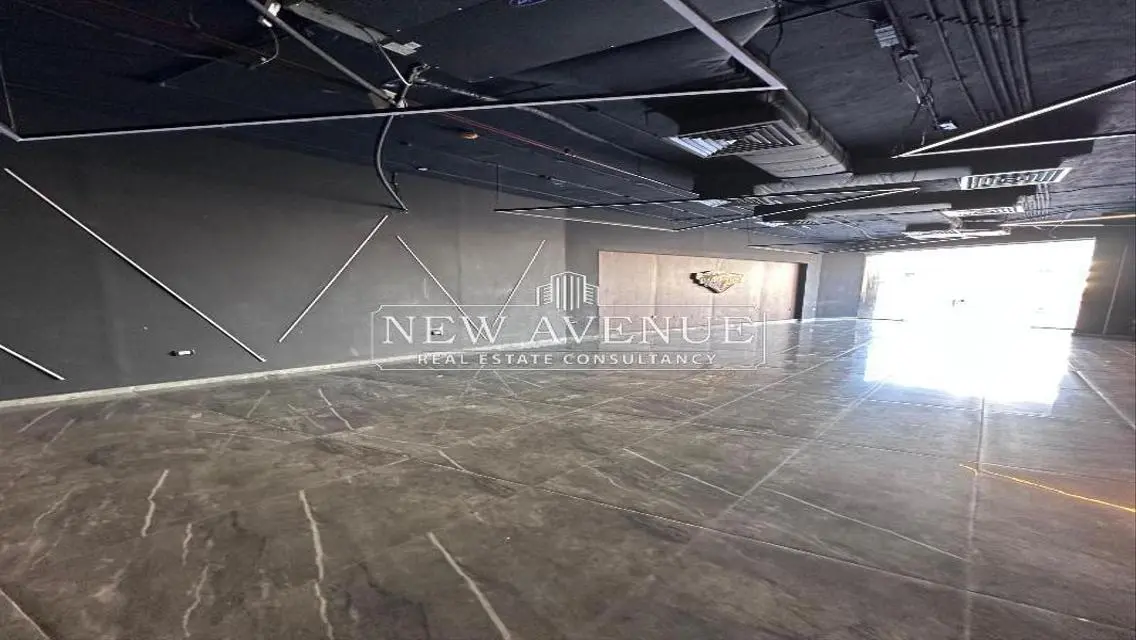 Spacious Apartment of 250 Sq. M