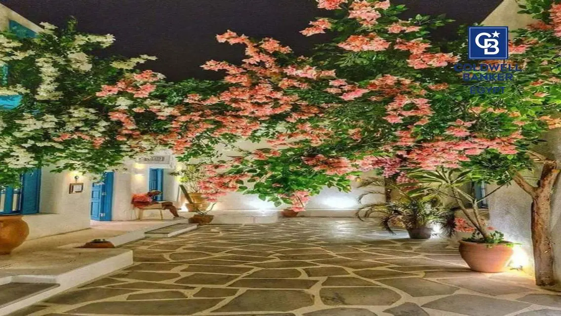 Luxury Apartment in the Heart of Cairo at an Affordable Price