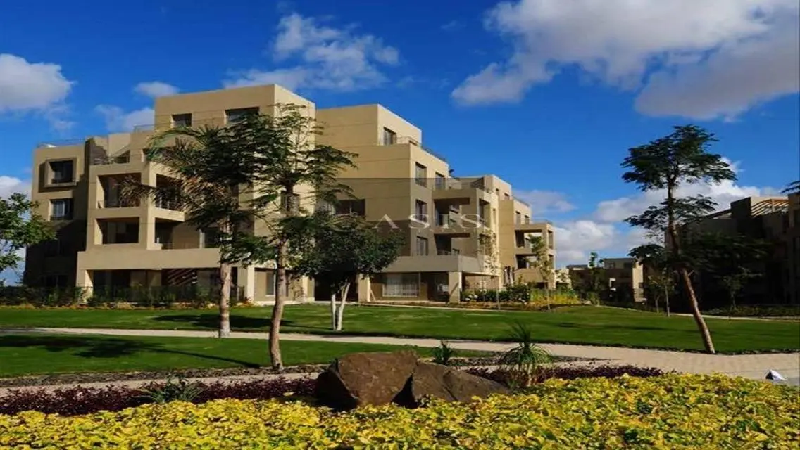 Luxury Apartment in Palm Parks Compound