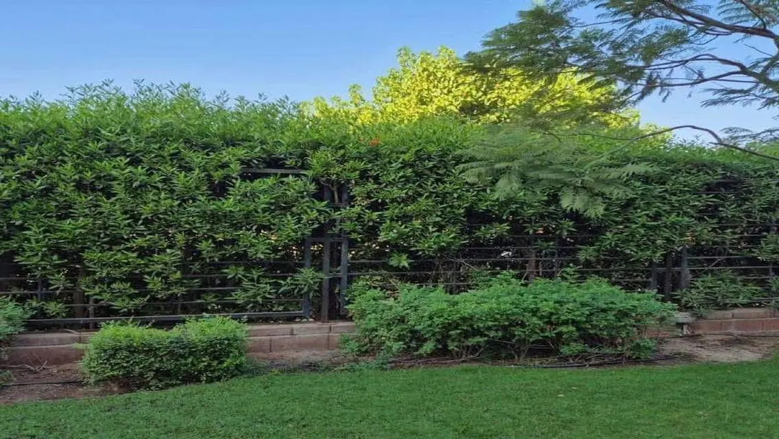 Luxury Villa for Sale with Private Garden and Pool