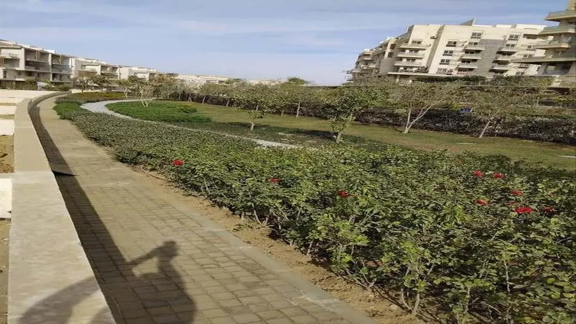 Luxurious Apartment in AUC with Private Garden and Pool
