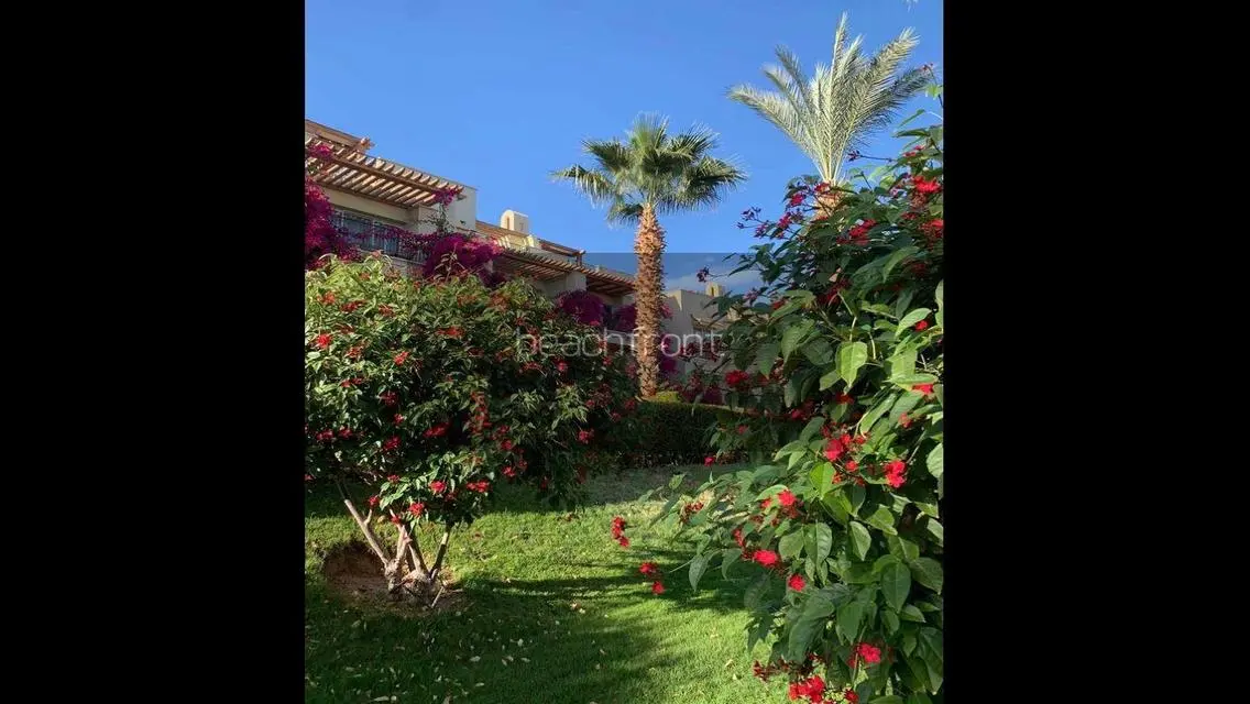Luxury Apartment with Extensive Amenities