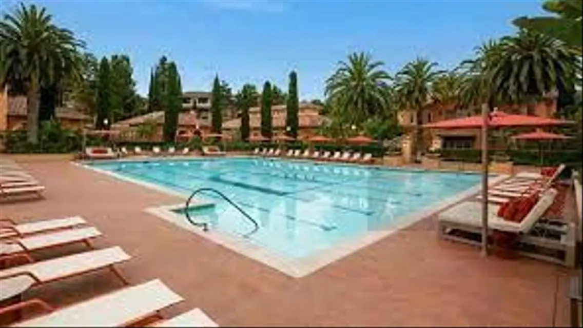 Luxury 3 Bedroom Apartment for Sale