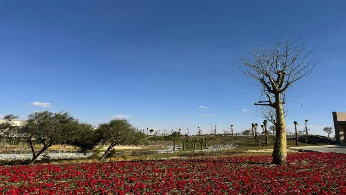 Luxury Apartment for Sale in Palm Hills, New Cairo
