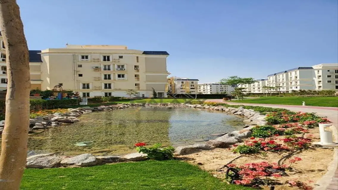 Luxury Apartment in Mountain View Hyde Park