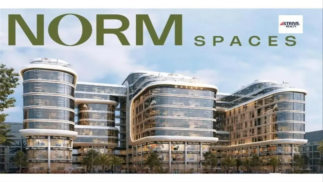Investment Opportunity at NORM SPACES