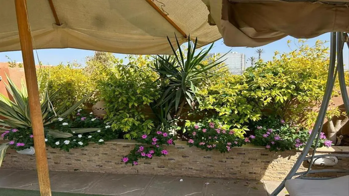 بنتهاوس للبيع كمبوند جرين 3 مباني ادريس - زايد
