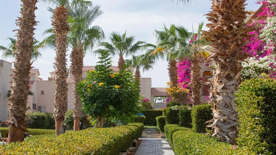 1 BR Apartment with pool view in Veranda
