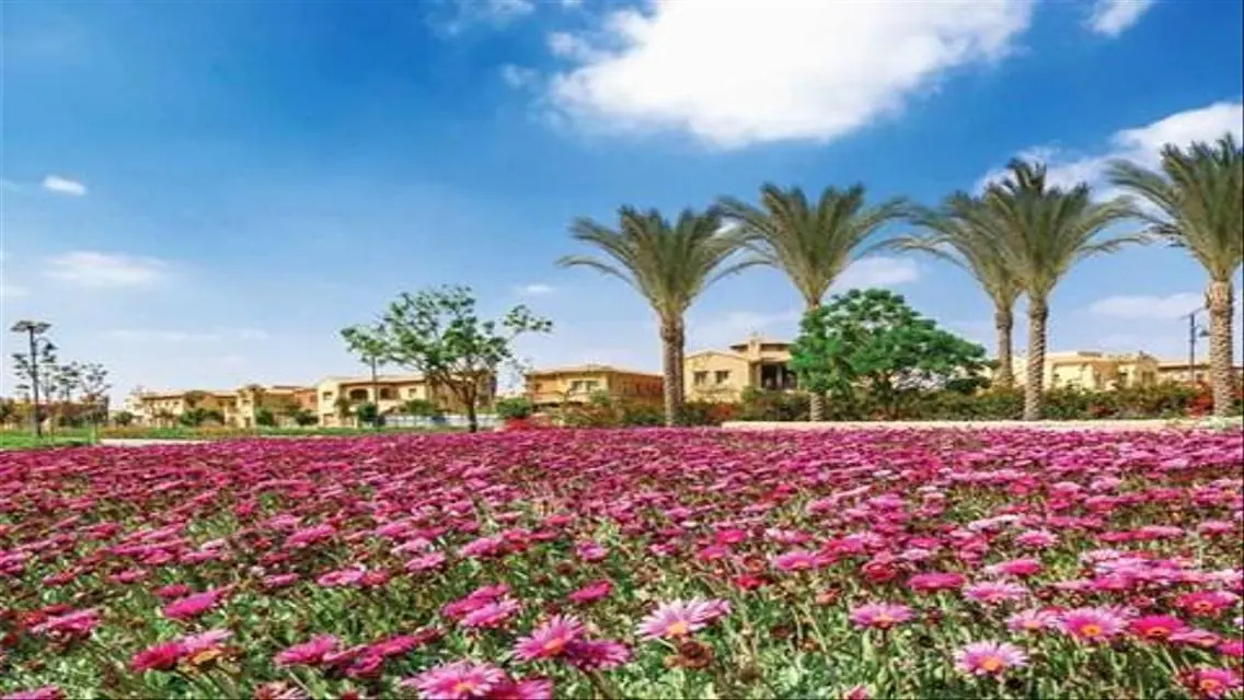Luxury Villa with Private Pool and Garden