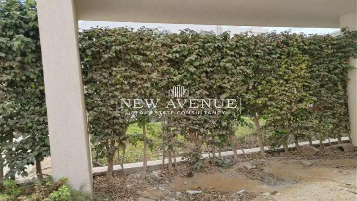 Luxury Property 2031 for Sale
